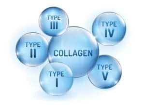 Collagen types