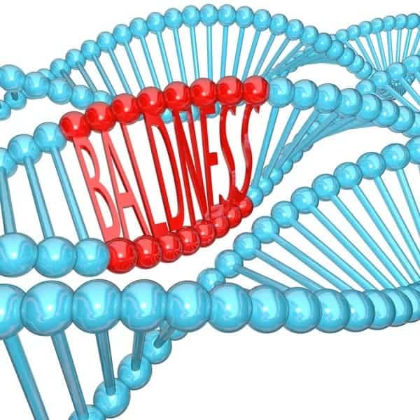 The Baldness Gene: Hereditary Hair Loss Explained! baldness gene